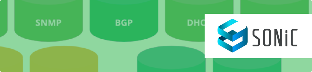 Larch Networks — Network Product Development son