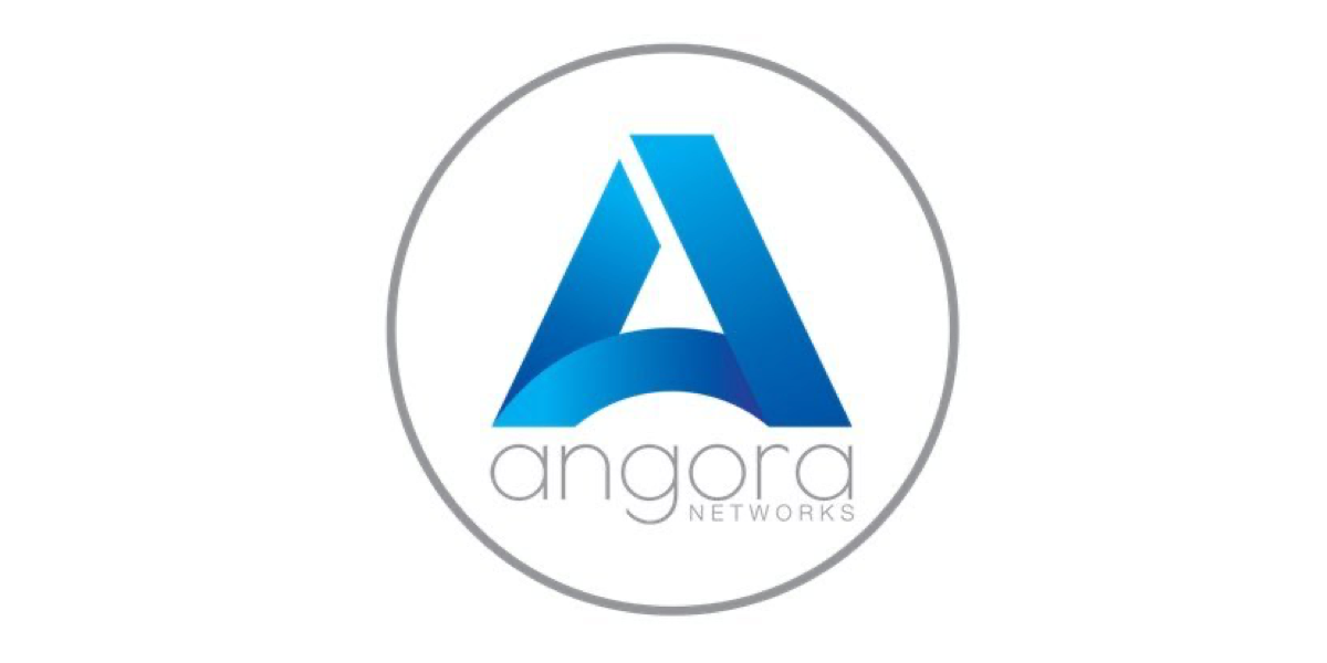 Larch Networks — Network Product Development angora